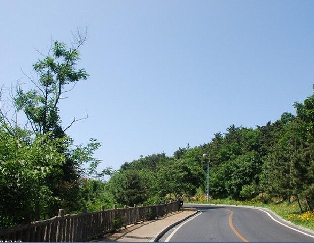 大連海浜道路